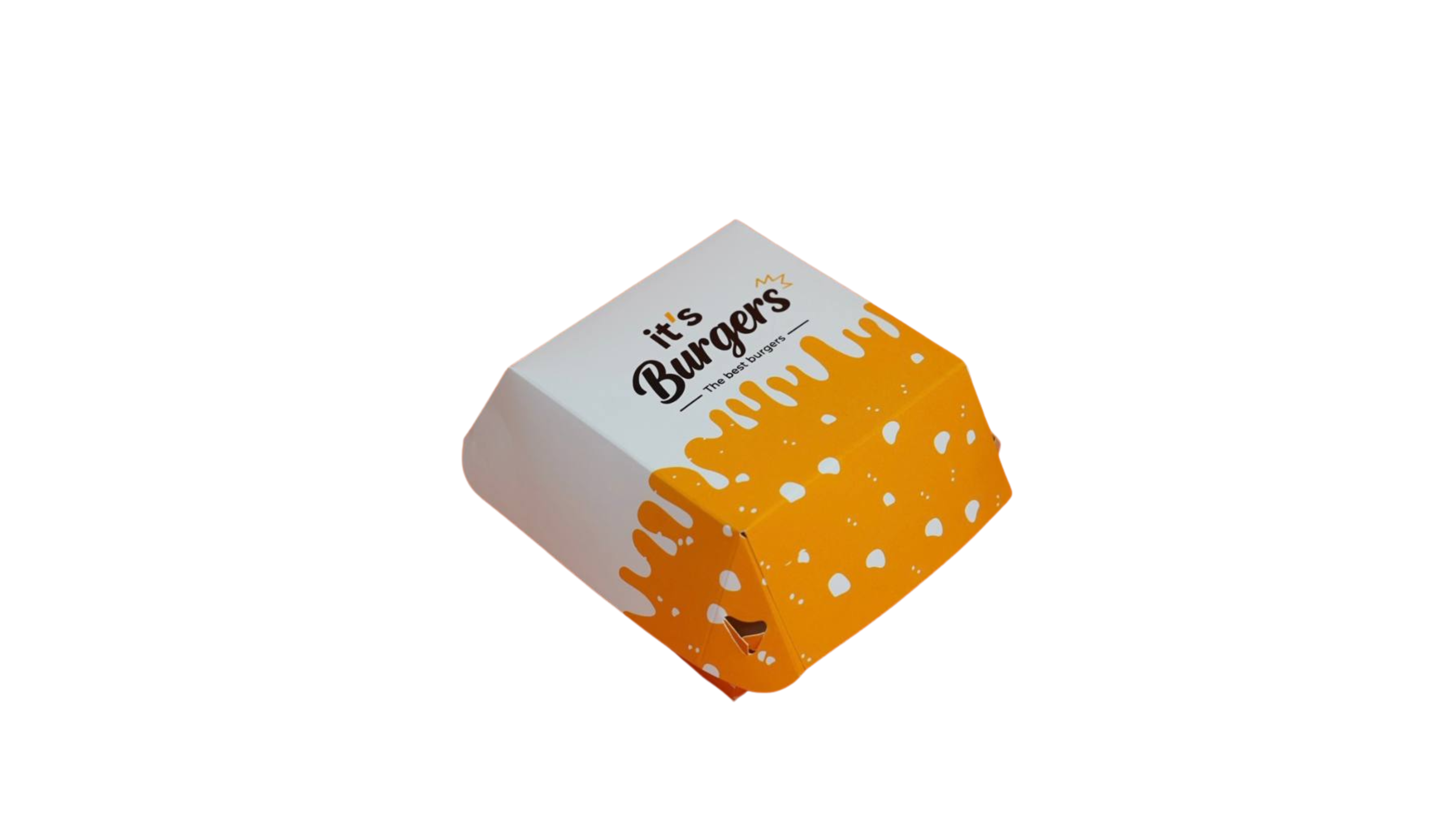 Burger qutisi